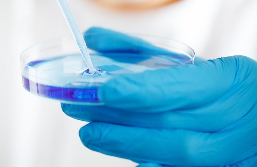 biology, research, laboratory-220005.jpg
